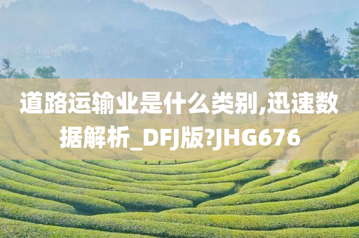 道路运输业是什么类别,迅速数据解析_DFJ版?JHG676