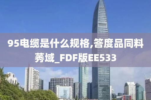 95电缆是什么规格,答度品同料莠域_FDF版EE533