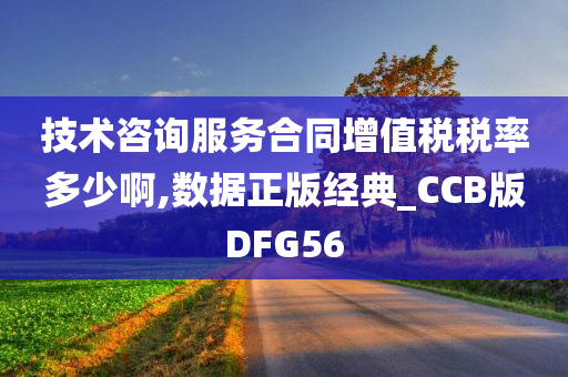 技术咨询服务合同增值税税率多少啊,数据正版经典_CCB版DFG56