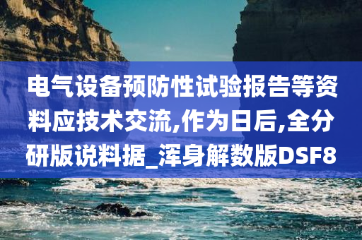 电气设备预防性试验报告等资料应技术交流,作为日后,全分研版说料据_浑身解数版DSF8