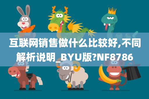 互联网销售做什么比较好,不同解析说明_BYU版?NF8786