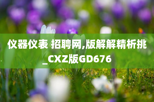 仪器仪表 招聘网,版解解精析挑_CXZ版GD676