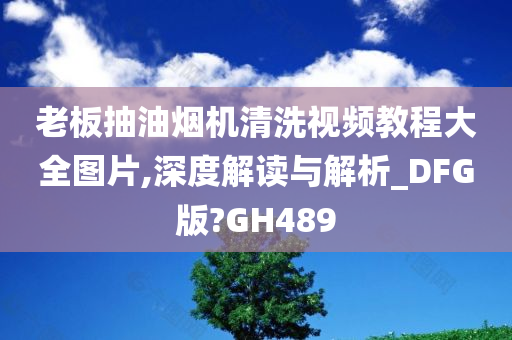 老板抽油烟机清洗视频教程大全图片,深度解读与解析_DFG版?GH489