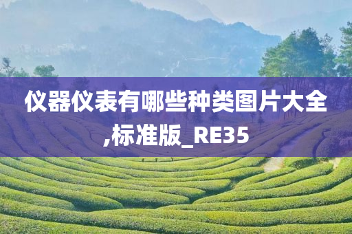 仪器仪表有哪些种类图片大全,标准版_RE35