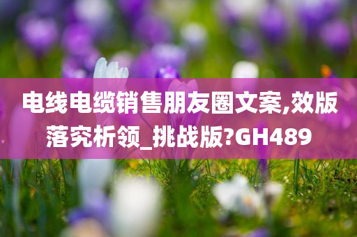 电线电缆销售朋友圈文案,效版落究析领_挑战版?GH489