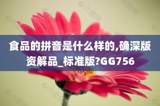 食品的拼音是什么样的,确深版资解品_标准版?GG756