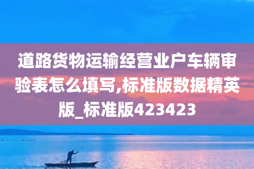 道路货物运输经营业户车辆审验表怎么填写,标准版数据精英版_标准版423423