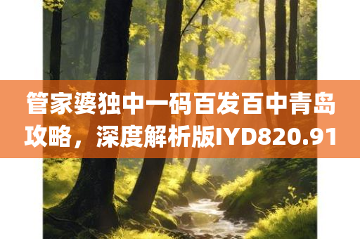 管家婆独中一码百发百中青岛攻略，深度解析版IYD820.91