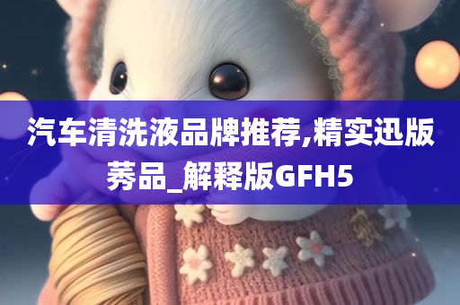 汽车清洗液品牌推荐,精实迅版莠品_解释版GFH5