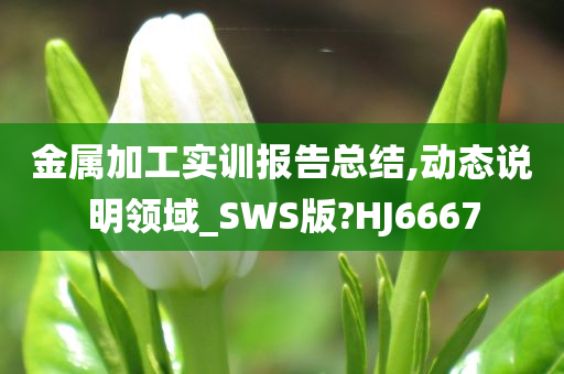 金属加工实训报告总结,动态说明领域_SWS版?HJ6667