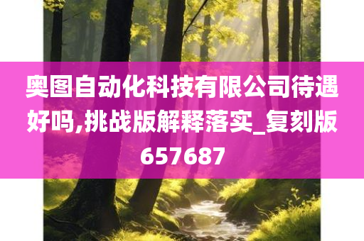 奥图自动化科技有限公司待遇好吗,挑战版解释落实_复刻版657687