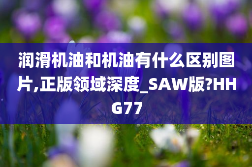 润滑机油和机油有什么区别图片,正版领域深度_SAW版?HHG77