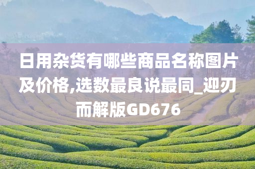 日用杂货有哪些商品名称图片及价格,选数最良说最同_迎刃而解版GD676