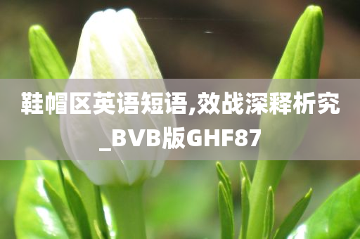 鞋帽区英语短语,效战深释析究_BVB版GHF87