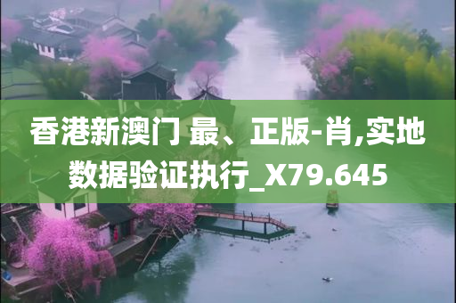 香港新澳门 最、正版-肖,实地数据验证执行_X79.645