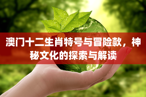 澳门十二生肖特号与冒险款，神秘文化的探索与解读