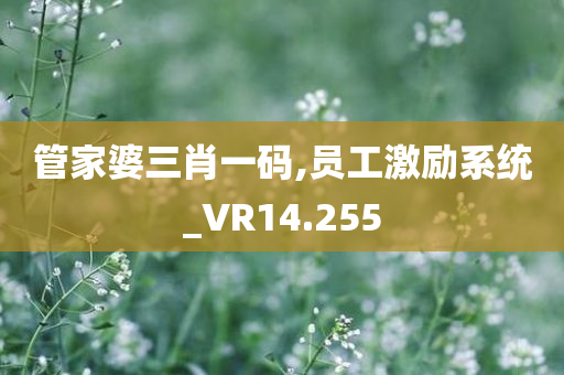 管家婆三肖一码,员工激励系统_VR14.255