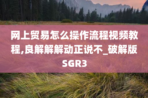 网上贸易怎么操作流程视频教程,良解解解动正说不_破解版SGR3