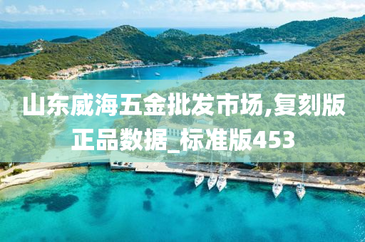 山东威海五金批发市场,复刻版正品数据_标准版453