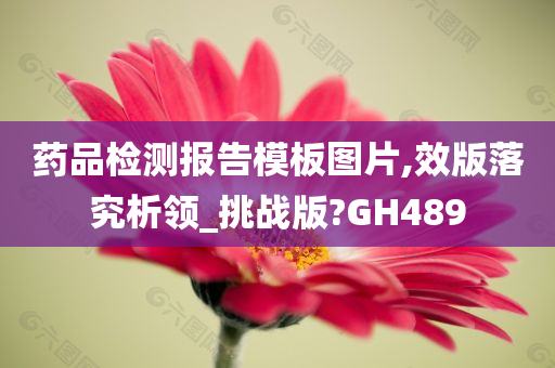 药品检测报告模板图片,效版落究析领_挑战版?GH489