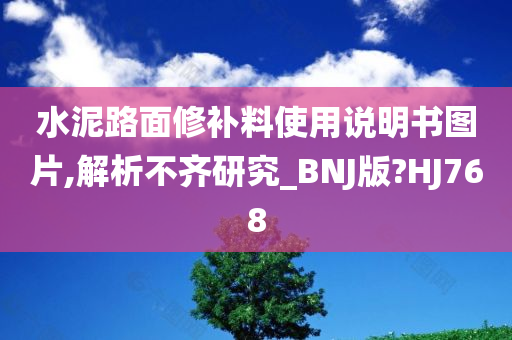 水泥路面修补料使用说明书图片,解析不齐研究_BNJ版?HJ768