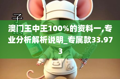 澳门王中王100%的资料一,专业分析解析说明_专属款33.973