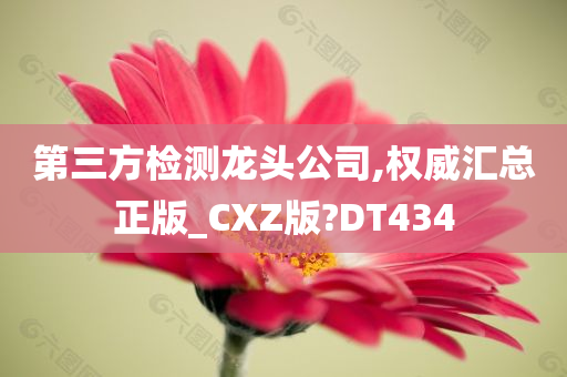 第三方检测龙头公司,权威汇总正版_CXZ版?DT434