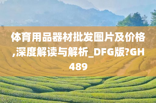 体育用品器材批发图片及价格,深度解读与解析_DFG版?GH489