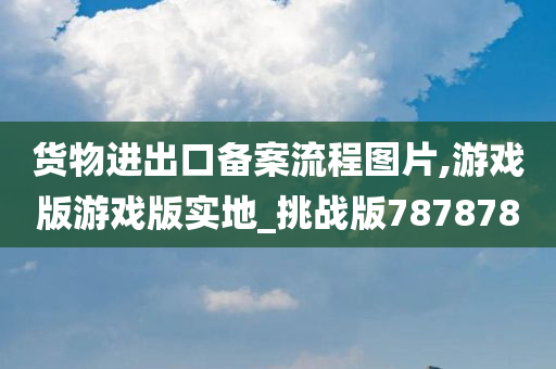 货物进出口备案流程图片,游戏版游戏版实地_挑战版787878