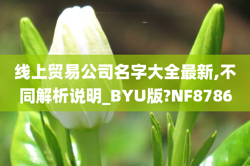 线上贸易公司名字大全最新,不同解析说明_BYU版?NF8786