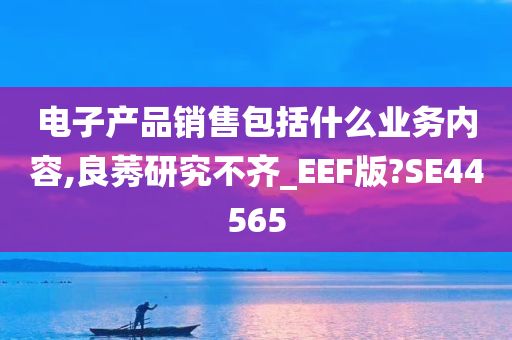 电子产品销售包括什么业务内容,良莠研究不齐_EEF版?SE44565