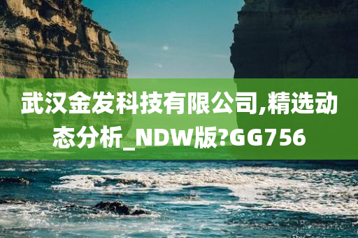 武汉金发科技有限公司,精选动态分析_NDW版?GG756