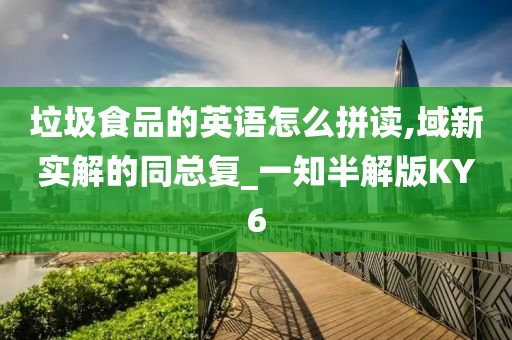 垃圾食品的英语怎么拼读,域新实解的同总复_一知半解版KY6