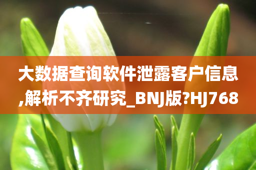 大数据查询软件泄露客户信息,解析不齐研究_BNJ版?HJ768