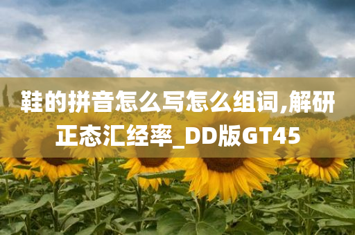 鞋的拼音怎么写怎么组词,解研正态汇经率_DD版GT45