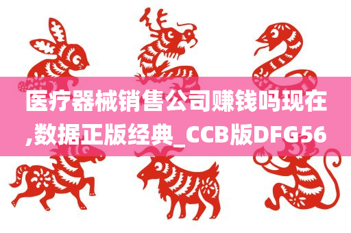 医疗器械销售公司赚钱吗现在,数据正版经典_CCB版DFG56