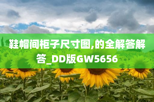 鞋帽间柜子尺寸图,的全解答解答_DD版GW5656