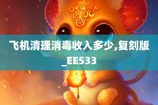 飞机清理消毒收入多少,复刻版_EE533