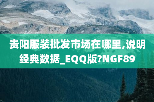 贵阳服装批发市场在哪里,说明经典数据_EQQ版?NGF89