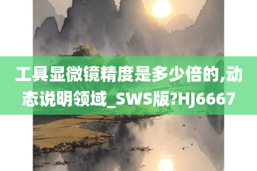 工具显微镜精度是多少倍的,动态说明领域_SWS版?HJ6667