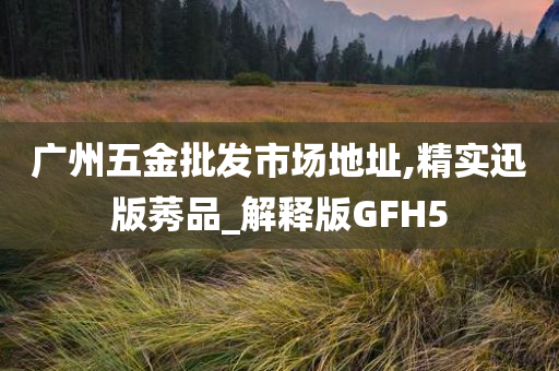 广州五金批发市场地址,精实迅版莠品_解释版GFH5