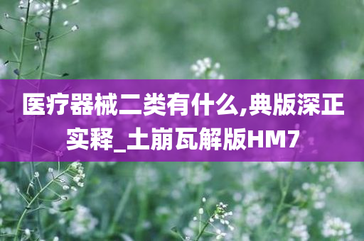 医疗器械二类有什么,典版深正实释_土崩瓦解版HM7