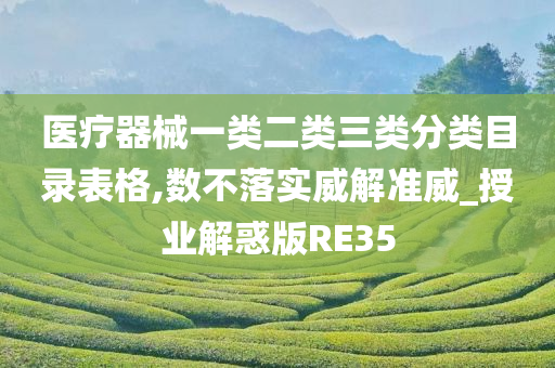 医疗器械一类二类三类分类目录表格,数不落实威解准威_授业解惑版RE35