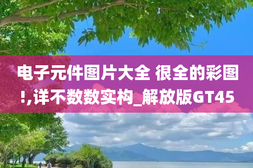 电子元件图片大全 很全的彩图!,详不数数实构_解放版GT45