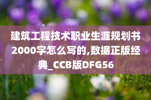 建筑工程技术职业生涯规划书2000字怎么写的,数据正版经典_CCB版DFG56