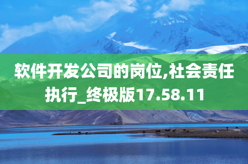 软件开发公司的岗位,社会责任执行_终极版17.58.11