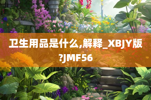 卫生用品是什么,解释_XBJY版?JMF56