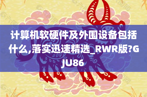 计算机软硬件及外围设备包括什么,落实迅速精选_RWR版?GJU86