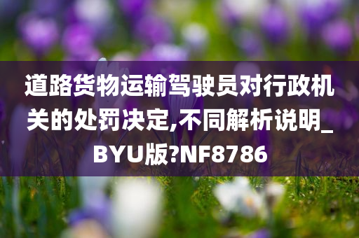 道路货物运输驾驶员对行政机关的处罚决定,不同解析说明_BYU版?NF8786