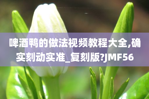 啤酒鸭的做法视频教程大全,确实刻动实准_复刻版?JMF56